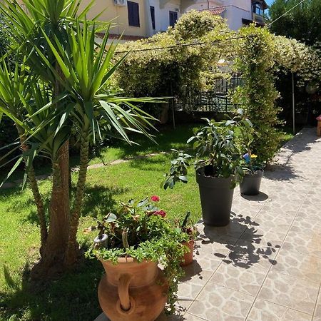 Villa Dei Cedri Scalea Eksteriør billede